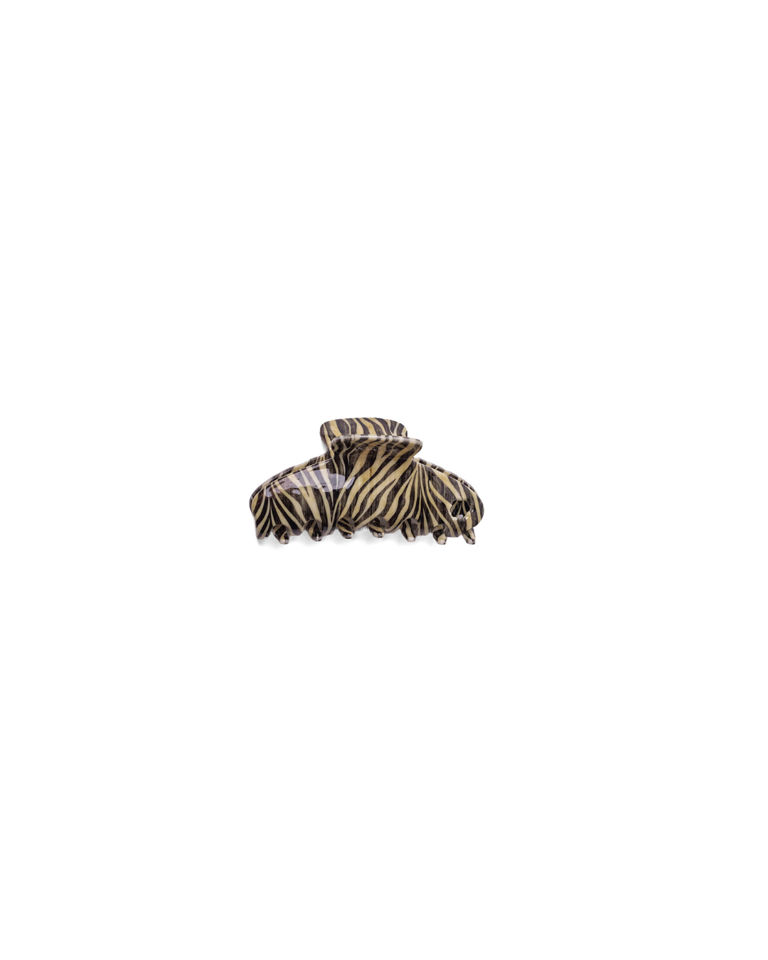 Zebra Claw : MIDI - KAXI X Whitney Leavitt